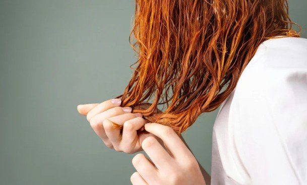 Key Ingredients to Look For